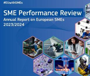  SME performance review 2023-2024